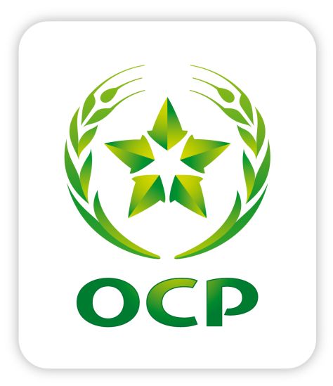 OCP Foundation